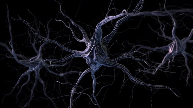 Neurons. Realistic brain neurons. 3d animation