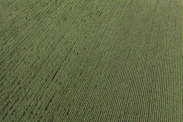 aerial view of harvest fields in Poland