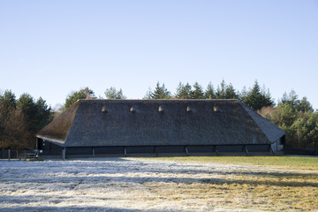 sheepfold in winter