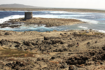 Stintino, in Sardegna mare e cielo, acqua e rocce, acqua limpida, sole sull'isola.