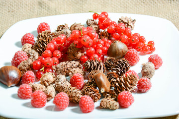 winter fruits