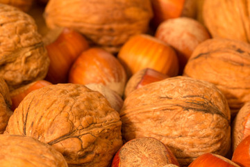 Haselnüsse und Walnnüsse