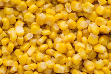 Bulk of yellow corn grains texture.