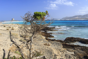Stintino, in Sardegna mare e cielo, acqua e rocce, acqua limpida, sole sull'isola.