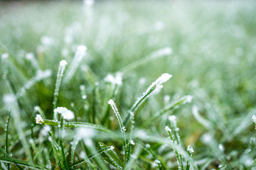 Winter vereiste Wiese 