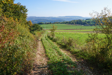 Rural Trail in Luxembourg