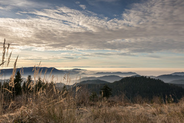 Obraz premium Sonnenuntergang Schwarzwald