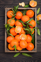 Fresh tangerine clementine and lemons with leaves in wooden tray on dark wooden background, top view, vertical.