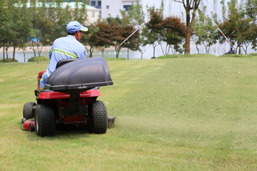 The lawnmower at work