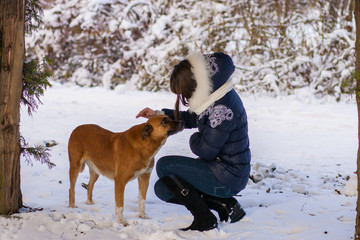 Girl stroking his dog near a tree