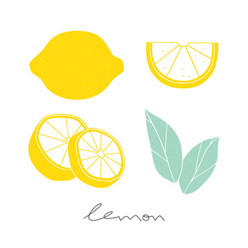 Vector lemon set.  Hand drawn sliced lemon. Kitchen illustration on the white background