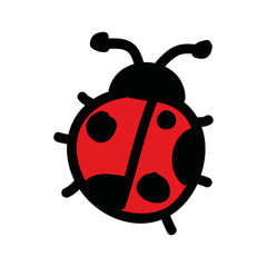 cute ladybug drawing isolated icon vector illustration design