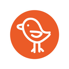 cute bird drawing isolated icon vector illustration design