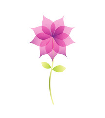 cute flower isolated icon vector illustration design
