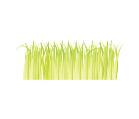 grass plant isolated icon vector illustration design