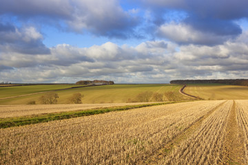 yorkshire wolds farmling