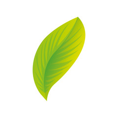 Obraz premium leaf plant silhouette icon vector illustration design