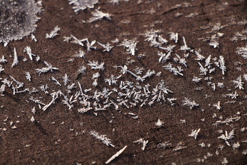 Texture of beautiful snowflakes in the morning frozen tree.