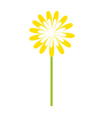 cute flower isolated icon vector illustration design