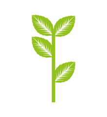 tree plant silhouette isolated icon vector illustration design