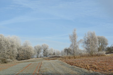 Felder im Winterschlaf