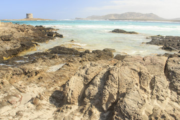 Stintino, in Sardegna mare e cielo, acqua e rocce, acqua limpida, sole sull'isola.