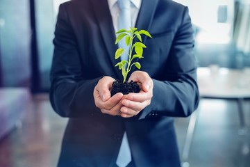 Mid section of businessman holding plant