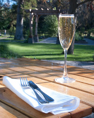 champaign in the garden