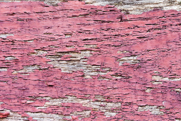 wood texture. background old panels