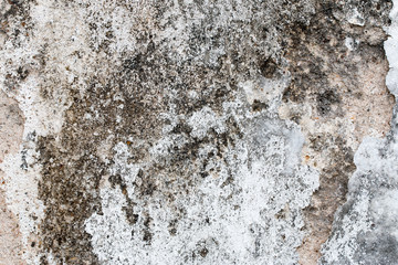 white concrete wall texture