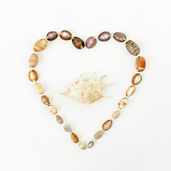 Shells. Love. Flat lay