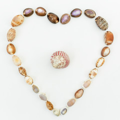 Shells. Love. Flat lay
