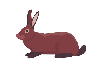 cartoon rabbit vector isolated