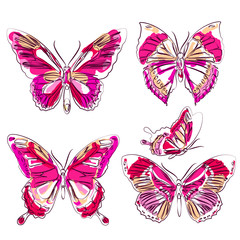 Plakat color butterflies,isolated on a white