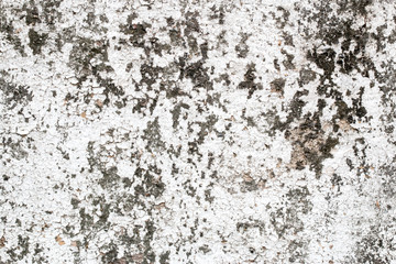 Fototapeta na wymiar white concrete wall texture