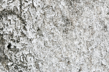 white concrete wall texture