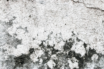 white concrete wall texture