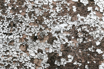 white concrete wall texture