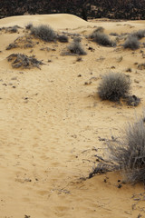 Desert sand