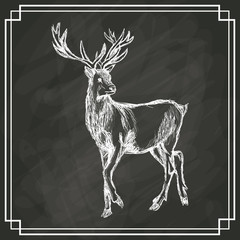 white deer sketch dark background vector illustration eps 10