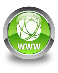 WWW (global network icon) glossy green round button