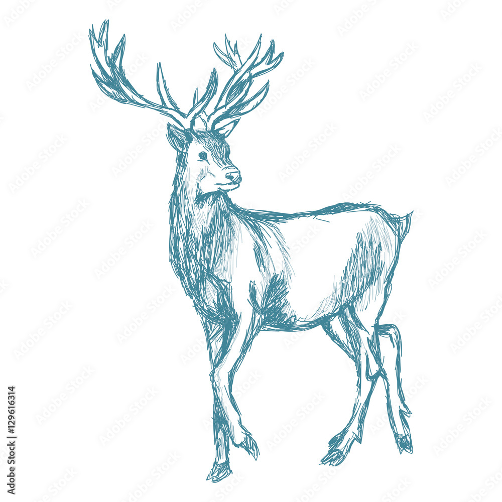 Wall mural deer sketch blue vintage vector illustration eps 10