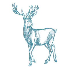 deer sketch blue vintage vector illustration eps 10
