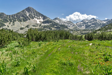Amazing Landscape with Sivrya peak, Pirin Mountain, Bulgaria
