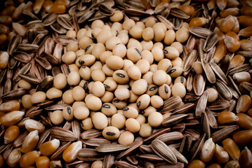 semilas soja, maiz y girasol