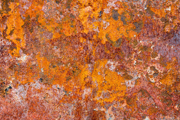 A background of peeling paint and rusty old metal