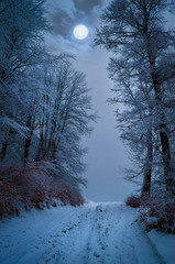 Full moon in foggy winter forest