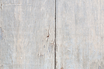 wood texture. background old panels