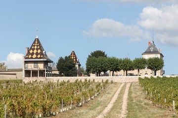 Chateau Portier with vineyards in Beaujolais, France