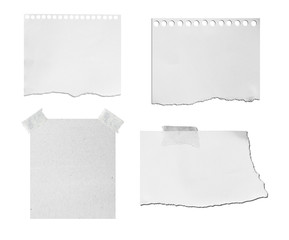 Torn pieces of paper